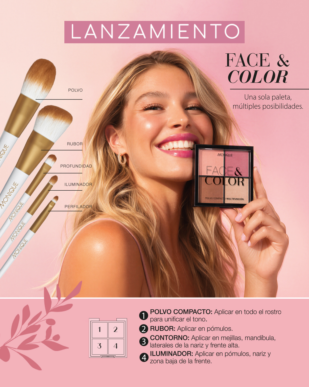 Polvo Multifunción + Brochas